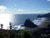 Piha Fullday 12