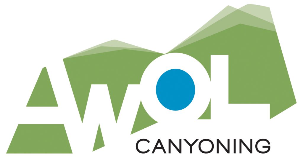 Thank you 1 •Awol RGB large